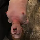 Madison Young in 'Redhead suspended by ankles with rope, face fucked Flogged until her skin is bright pink.'