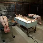 Maitresse Madeline in 'Three Slaveboys Milked'