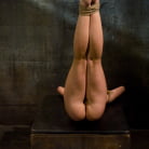 Mason in 'Extra Bonus Movie: Candidate 40'