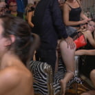 Mona Wales in 'Busty Brunette Extremely Afraid of Electricity Gets Shocked Outdoors'