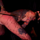 Nikki Darling in 'Well Trained Anal Sluts Service Folsom Orgy'