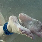 Phoenix Marie in 'Part 3: The Tank'