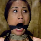 Princess Donna Dolore in 'Dragonlily Exposed'