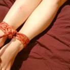 Reed Jameson in 'Rope Bondage for Sex'