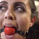 Roxanne Rae in 'The Lady and the Maid'