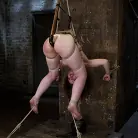 Sarah Shevon in 'Blue Eyed Beauty Sarah Shevon Challenged Classic HogTied Style'