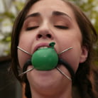 Sasha Grey in 'Sasha Grey Bonus Update!'