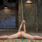 Sheena Shaw in 'Blonde fuck slut squeals and begs to cum.'