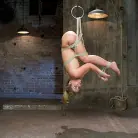 Sheena Shaw in 'Blonde fuck slut squeals and begs to cum.'