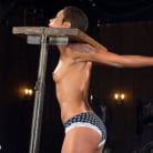 Skin Diamond in 'Penthouse Pet Skin Diamond Squirting in Brutal Bondage and Punished!!'