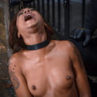 Skin Diamond in 'Rising From The Ash: Skin Diamond Is Fucked in Brutal Bondage!!'