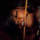 Sparky Sin Claire in 'XXXmas Party'