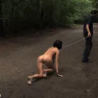 Aliz in 'The Dog Walk'