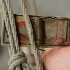 Tara Lynn Foxx in 'Tara Lynn Foxx is INSATIABLE'