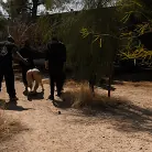 Vanessa Vega in 'El Rancho Slut Fuck: Vanessa Vega's Holes Slaughtered By Cock'