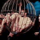 Vanessa Vega in 'Peeping Tom Gets Gangbanged'