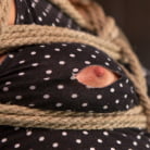 AJ Applegate in 'AJ Applegate Submits To Grueling Bondage and Torment!!!'