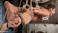 Abella Danger - 19 Year Old Rope Slut Suffers in Extreme Bondage | Picture (14)