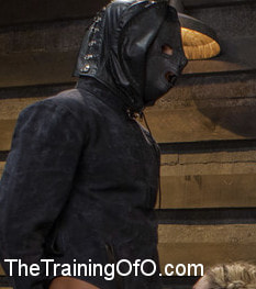 The Training of a Model or a Slave. Day Two