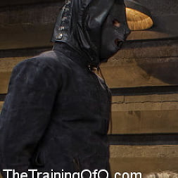 The Training of a Model or a Slave. Day Two