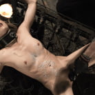 Aiden Ashley in 'Aiden Ashey: Suffering Slut in Brutal Bondage'