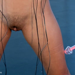 Electrosex Fucking