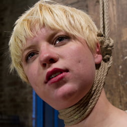 Welcome Alani Pi to HogTied