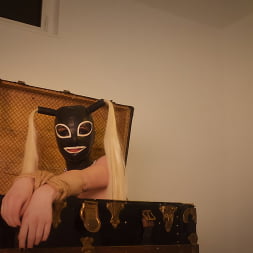 Alexa Addams Is: The Unruly Fuck Slut