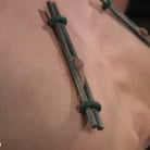 Alexis Tae in 'Alexis Tae: Exploring The Dark Side of Porn'