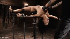 Alexis Tae - Alexis Tae: Grueling Steel Bondage and Brutal Domination | Picture (14)