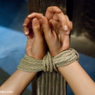 Allie Haze in 'Defiant Bound Slut'