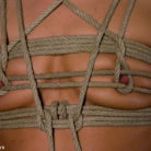 Alyssa Reece in 'Penthouse Pet gets her pussy wired!!!'