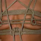 Alyssa Reece in 'Penthouse Pet gets her pussy wired!!!'