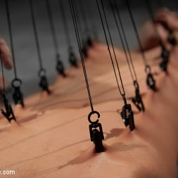 Amber Rayne Returns to Device Bondage