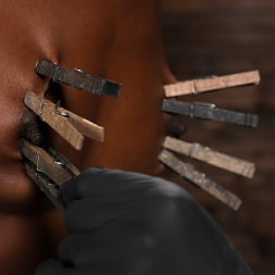 Ana Foxxx Suffers Brutal Delights in Hardcore Bondage