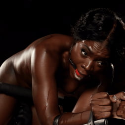 Foxxxy Slut is Tormented in Device Bondage