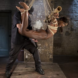 Stunning Ebony Slut in Brutal Bondage and Tormented