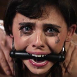 Wreck My Hole: Codey Steele and Angel Windell