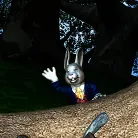 Anime in 'Alice in Wonderland: A XXX Parody'