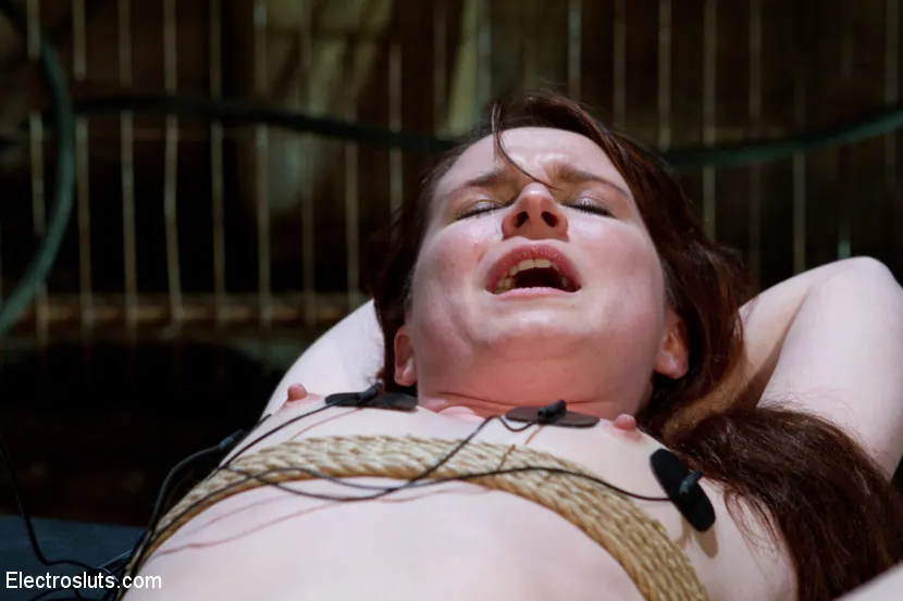 AnnaBelle Lee - Juego anal BDSM electro intenso | Picture (11)