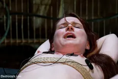 AnnaBelle Lee - Heavy Electro BDSM Assplay | Picture (11)