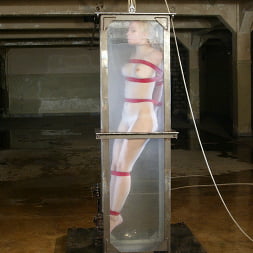 Annette Schwarz