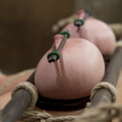 Annika in 'Annika Returns to HogTied'