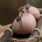 Annika in 'Annika Returns to HogTied'