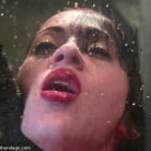 Arachnia Webb in 'Arachnia Webb'