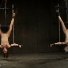 Ariel X in 'Double Inverted Sybian Suspension'