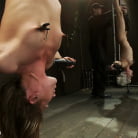 Ariel X in 'Double Inverted Sybian Suspension'