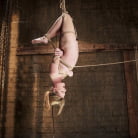 Ashley Lane in 'Hot Blonde Squealer in Intense Orgasm Overload'