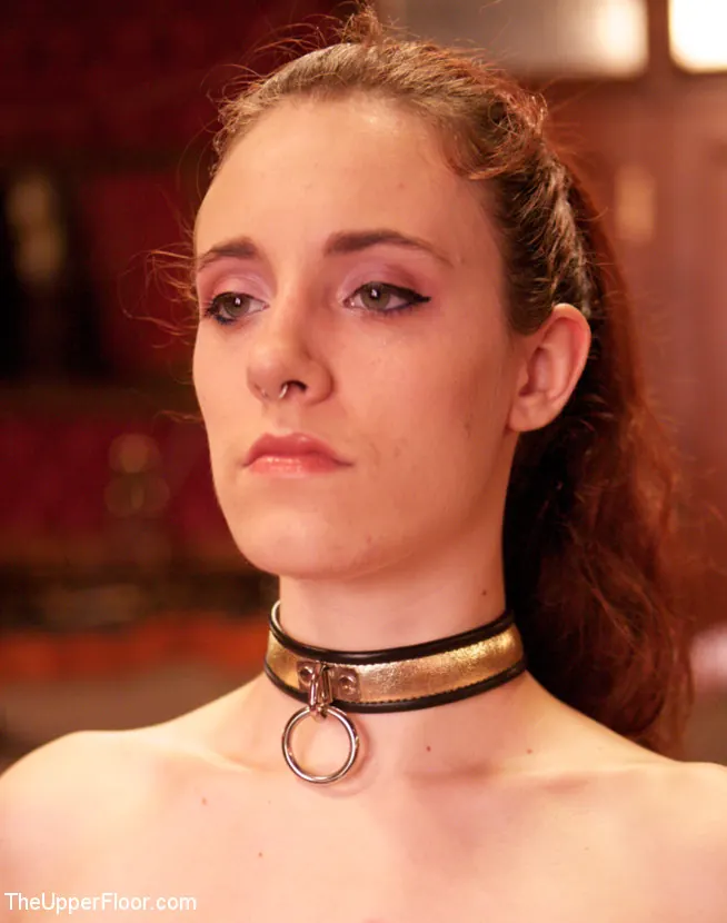Asphyxia Noir - Fiesta previa a Folsom: segunda parte | Picture (15)