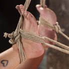 Ava Dalush in 'Penthouse Pet, Ava Dalush, Gets Devastated in Brutal Bondage!!'